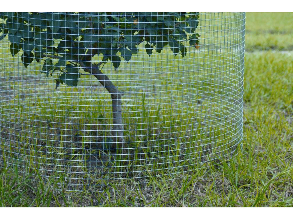 Imagenes De Mallas Floreadas | mallas met 225 licas hilo de acero Imagenes De Mallas Floreadas | mallas met 225 licas hilo de acero