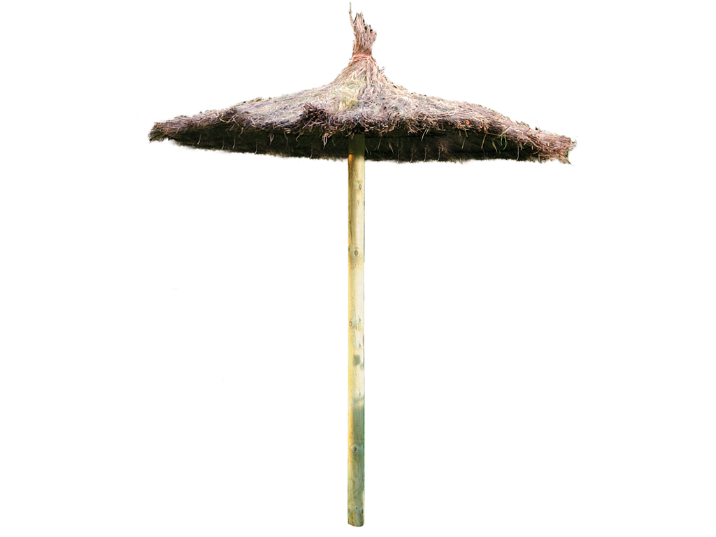 Briar parasol