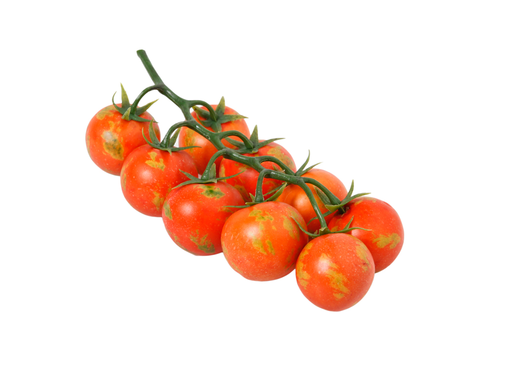 Light Vine Tomato
